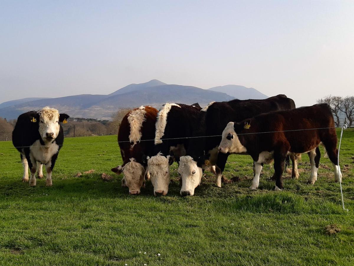 Inveraray Farm Beaufort Eksteriør bilde