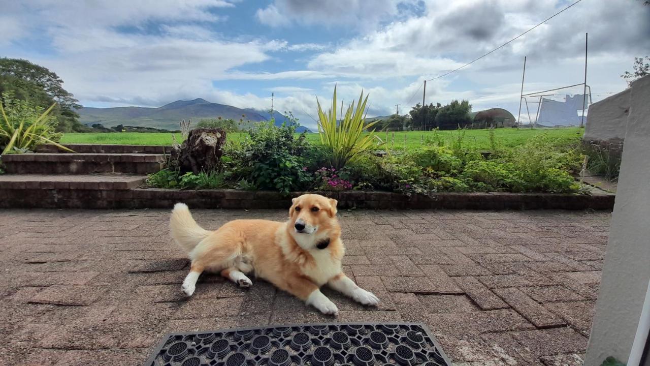Inveraray Farm Beaufort Eksteriør bilde