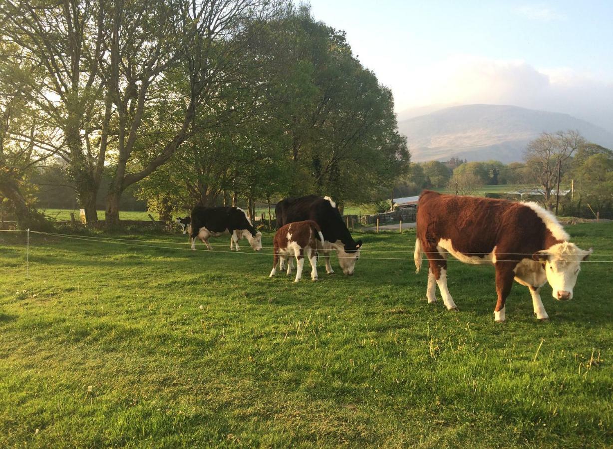 Inveraray Farm Beaufort Eksteriør bilde